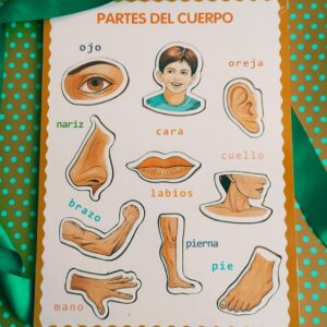 Rompecabezas Infantil Partes Del Cuerpo (2)