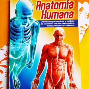 Anatomia Humana